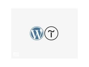 Tilda WordPress